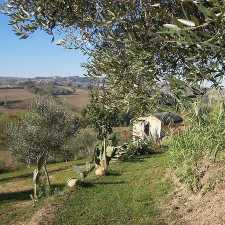 La Luna Nell'Orto-Casa Vacanza Ecologica E Agricoltura Biodinamica Barchi المظهر الخارجي الصورة