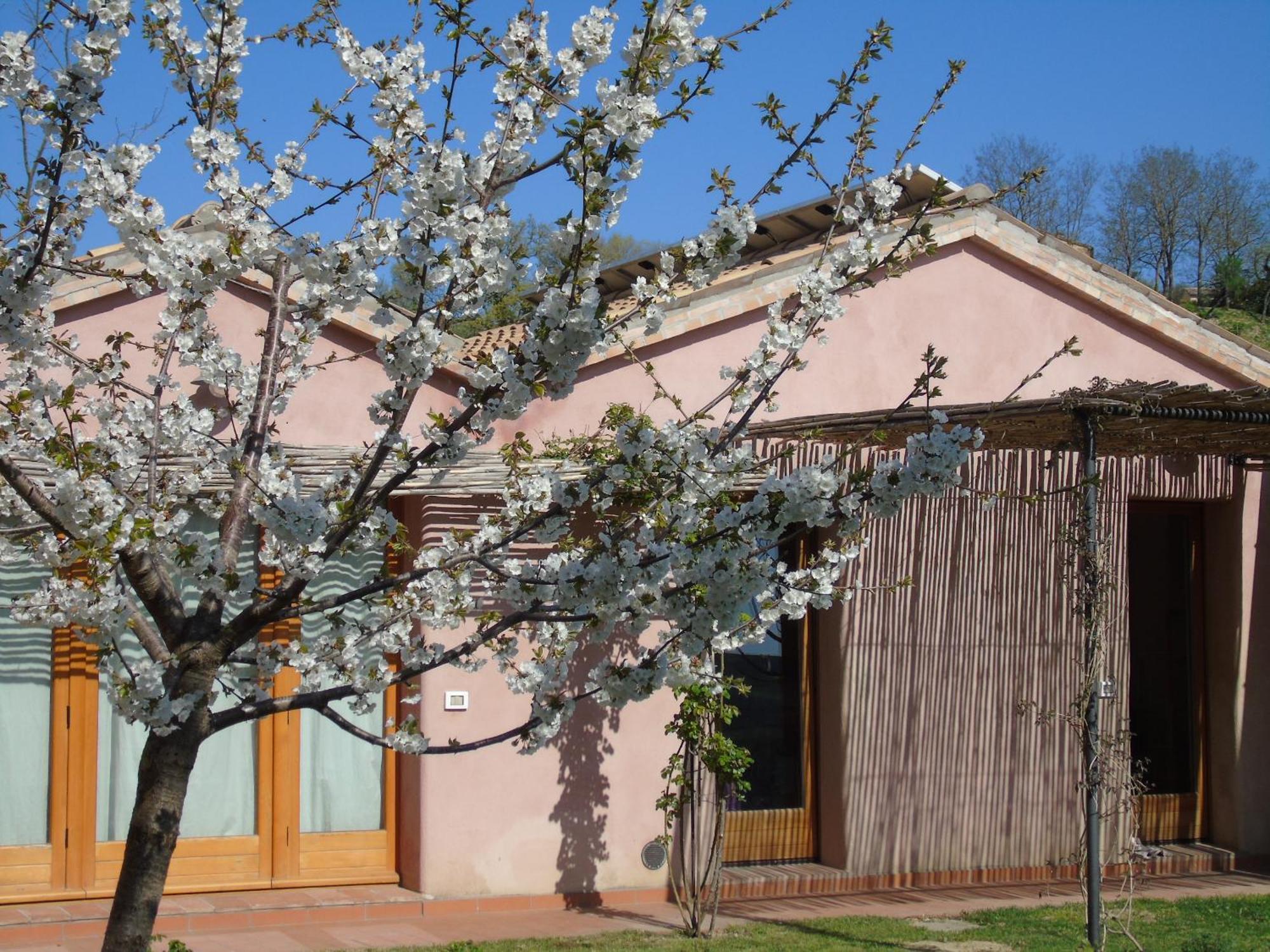 La Luna Nell'Orto-Casa Vacanza Ecologica E Agricoltura Biodinamica Barchi المظهر الخارجي الصورة