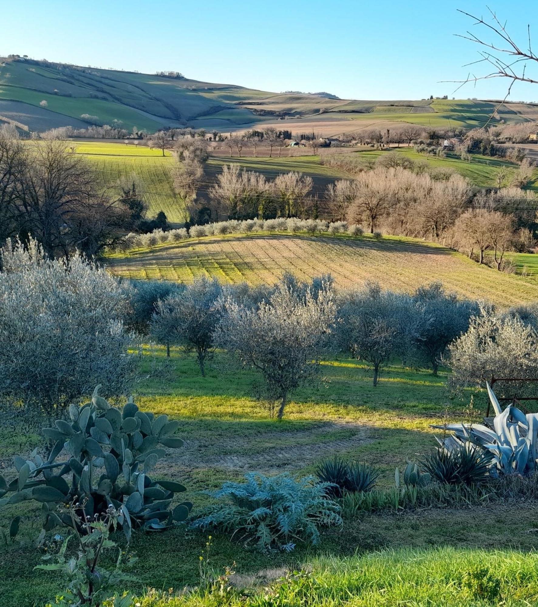 La Luna Nell'Orto-Casa Vacanza Ecologica E Agricoltura Biodinamica Barchi المظهر الخارجي الصورة